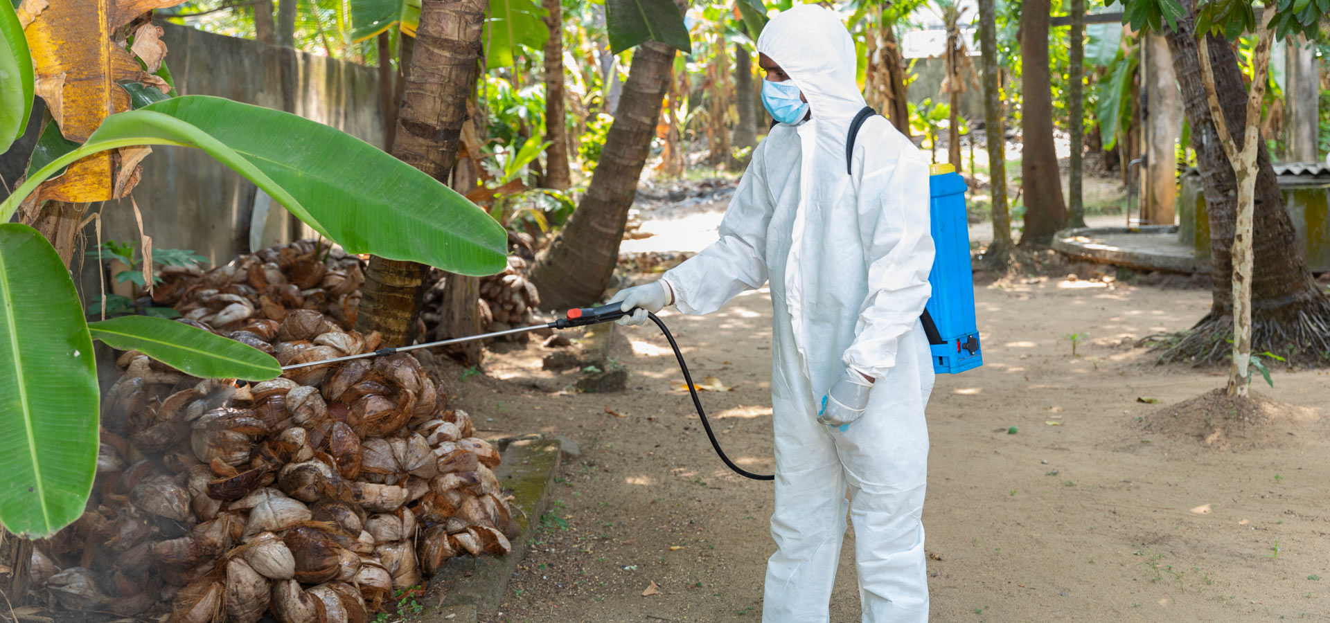 Lankem Pest Control Pioneering provider of safe and effective pest